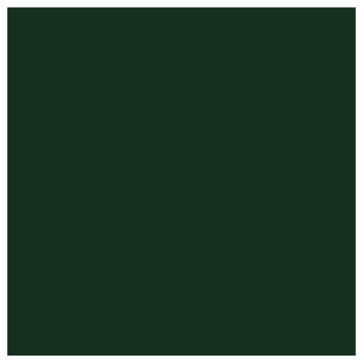 EasyWeed 12" Width HTV (Dark Green)