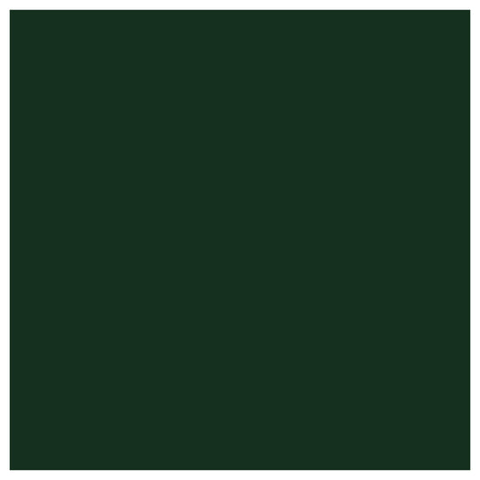 EasyWeed 12" Width HTV (Dark Green)